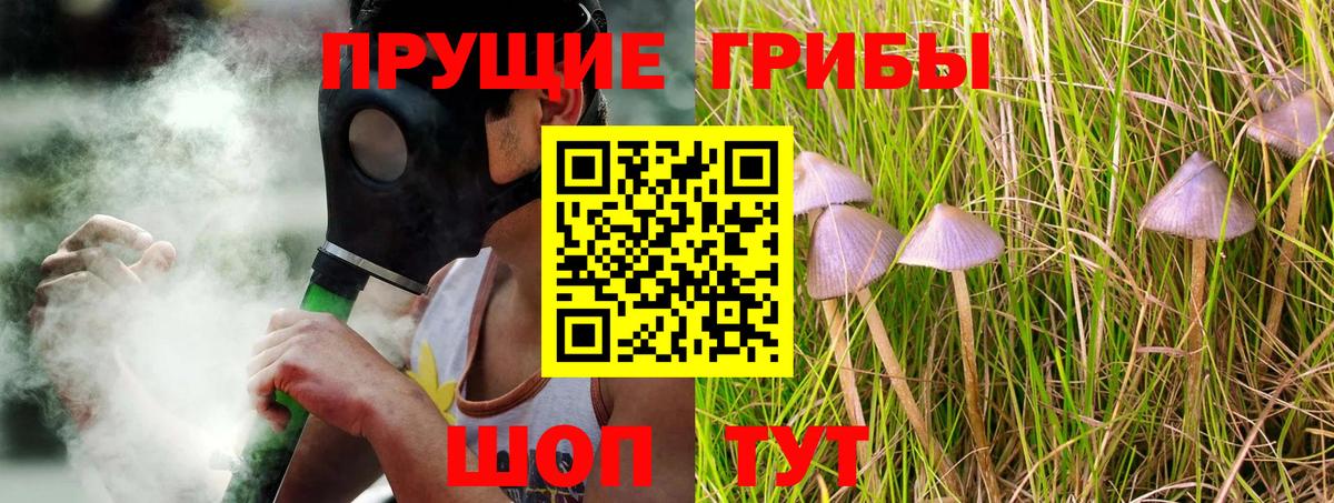 Галлюциногенные грибы Psilocybe Абинск